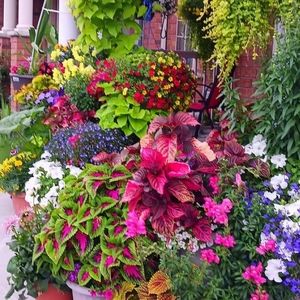 Make any reasonable offer Please remember Posh takes a fee.